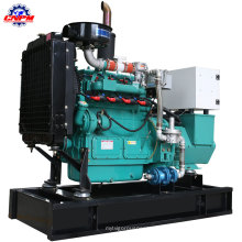 Conjunto de generador de gas natural de bajo consumo Green 4105D 30kw